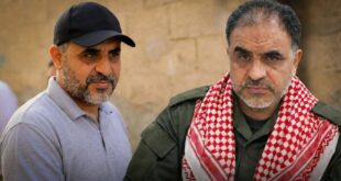 image 2026 01 31 14 40 28