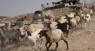 image 2026 01 16 20 43 12