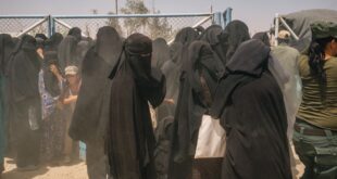 image 2026 01 20 15 23 26