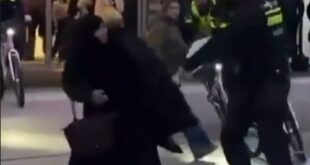 image 2026 01 29 17 39 28