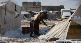 image 2026 01 25 13 50 07