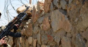 thumbs b c 18f2bc9df63a627a32870b87d550f7e9