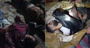 image 2026 01 19 11 04 29