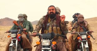 IMG 20260203 145247 313