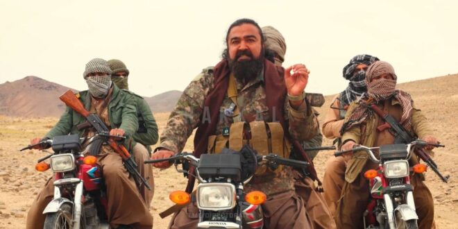 IMG 20260203 145247 313