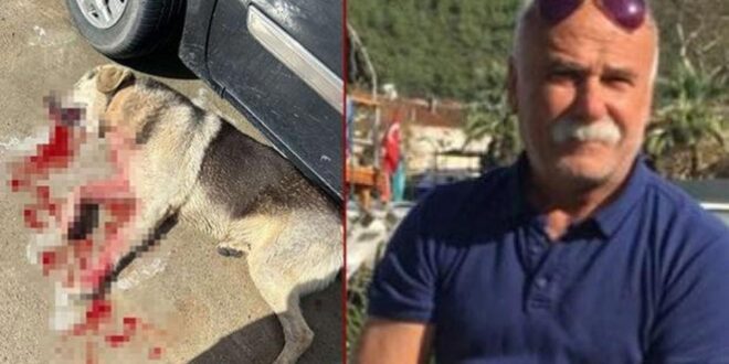 Zn9ez 1771335781 1559