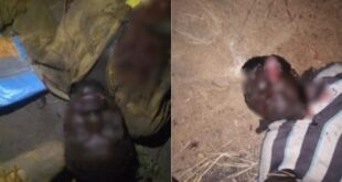 image 2026 02 01 19 30 14