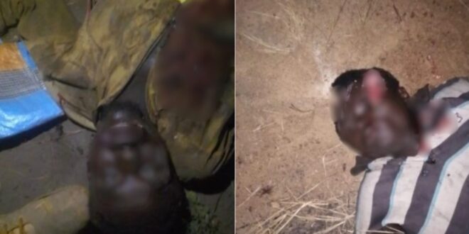 image 2026 02 01 19 30 14