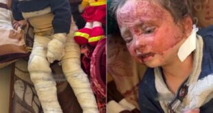 image 2026 02 02 14 49 20