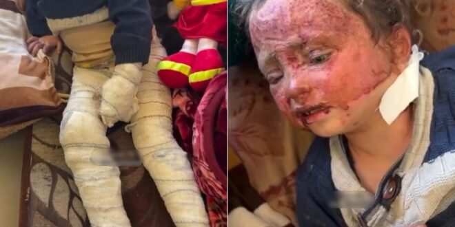 image 2026 02 02 14 49 20