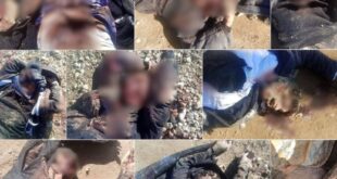 image 2026 02 04 11 17 49