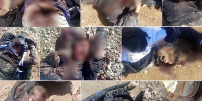 image 2026 02 04 11 17 49