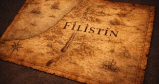 image 2026 02 23 16 44 34