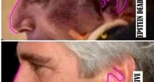 image 2026 02 06 22 37 51