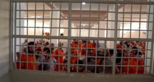 image 2026 02 08 17 06 34