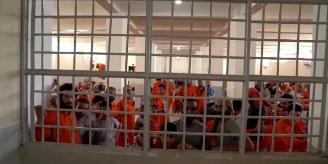 image 2026 02 08 17 06 34