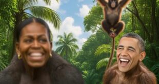 image 2026 02 06 14 46 48