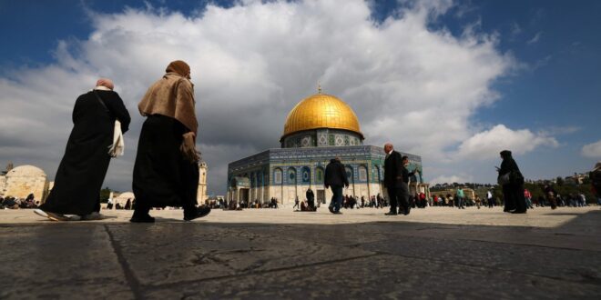 image 2026 03 11 23 37 52