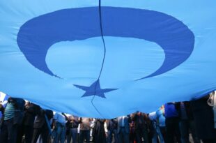 image 2026 03 25 23 15 10