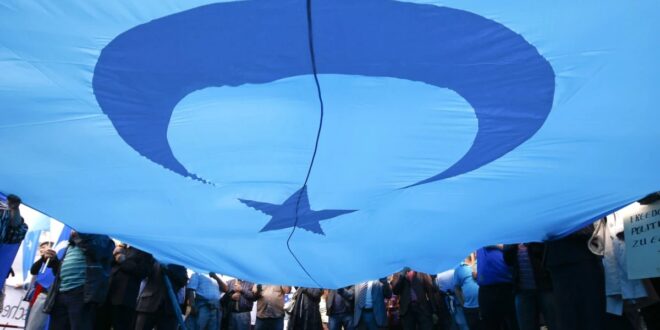 image 2026 03 25 23 15 10