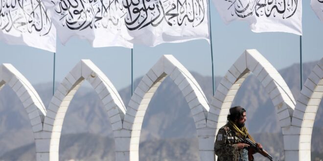 image 2026 03 18 12 06 20