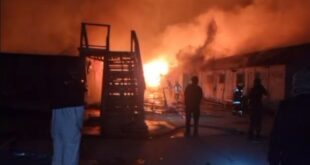 image 2026 03 17 12 05 37