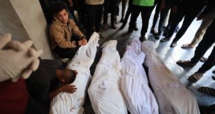 AA 20250314 37341156 37341152 4 PALESTINIANS KILLED IN ISRAELI AIRSTRIKES ON GAZA DESPITE CEASEFIRE 1