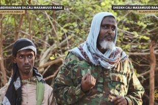 image 2026 03 23 15 03 53