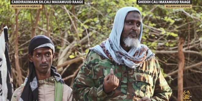 image 2026 03 23 15 03 53