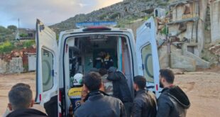 image 2026 03 21 12 50 39