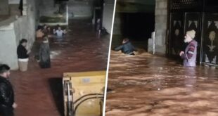 f3dcc72b 8b02 4f56 87f1 0cb562ffb505