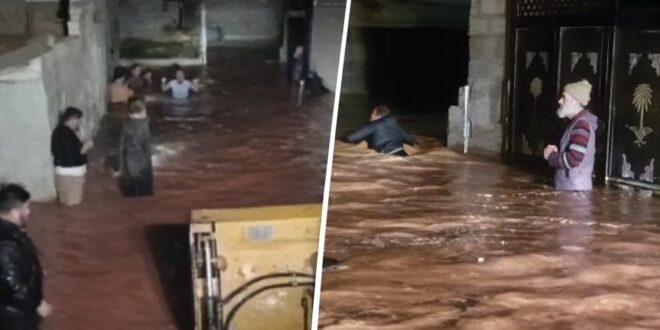 f3dcc72b 8b02 4f56 87f1 0cb562ffb505