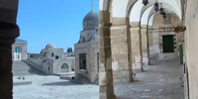 image 2026 03 13 17 44 38