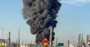 image 2026 03 24 14 12 50