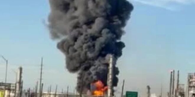 image 2026 03 24 14 12 50