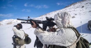 image 2026 03 29 20 20 59