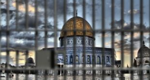 image 2026 03 26 20 54 21