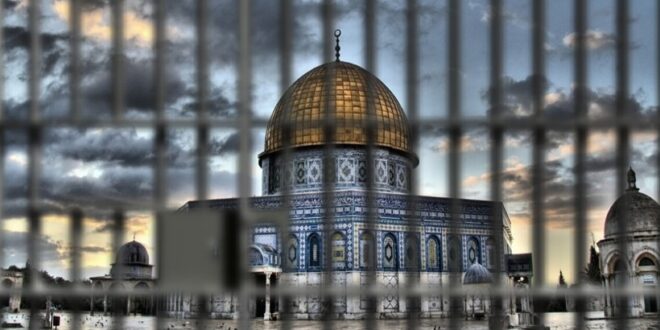 image 2026 03 26 20 54 21