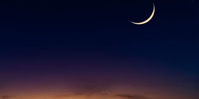 image 2026 03 18 20 04 24