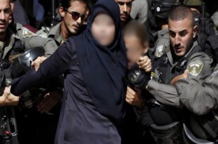 36fb45ab 6cde 4884 b8be 36bfa2f38d65