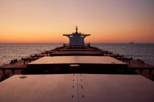 Thenamaris cargo ship.jpg