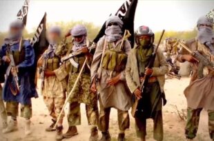screenshot from a jnim video in southern mali