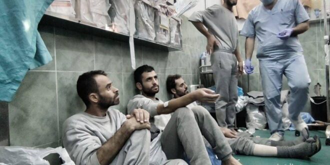 image 2026 04 28 14 43 58