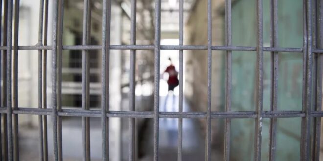 image 2026 04 16 16 14 48