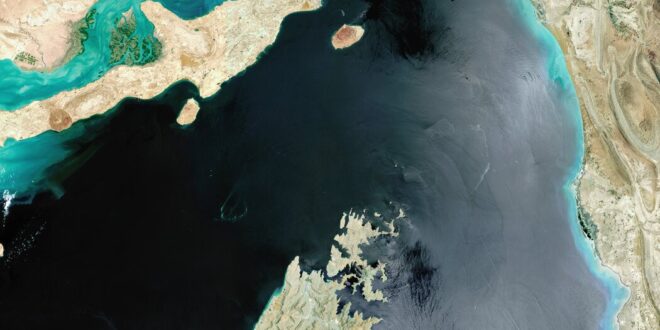 image 2026 04 09 17 09 14