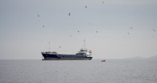 image 2026 04 14 21 54 34