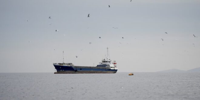 image 2026 04 14 21 54 34