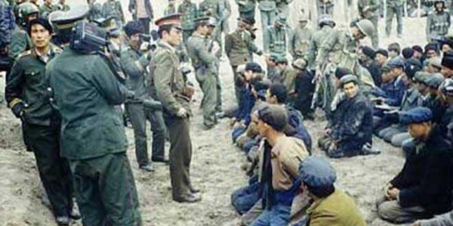 image 2026 04 05 22 29 17