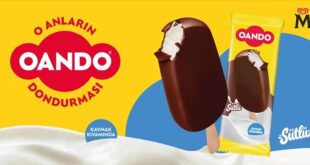 image 2026 04 11 16 37 08