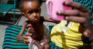 image 2026 04 14 21 19 20